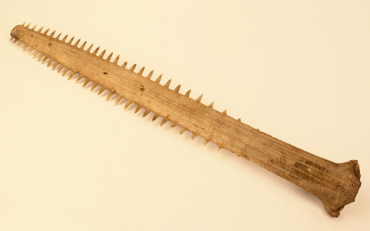 Sawfish Sword