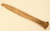 Sawfish Sword