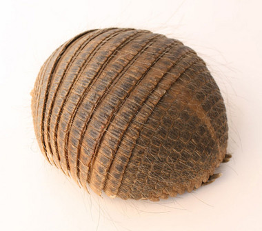 Armadillo Skin