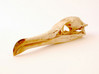 Cormorant Skull