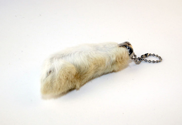 Rabbits Foot